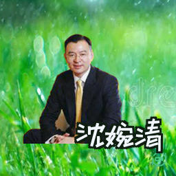 沈婉清